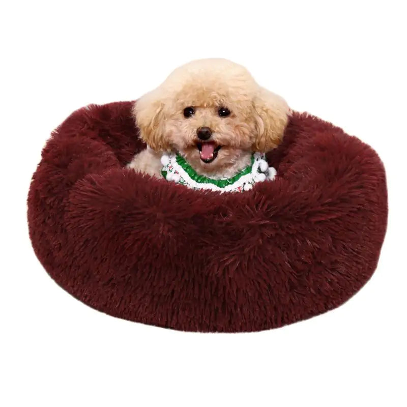 DOCHI-Soothing Pet Nest