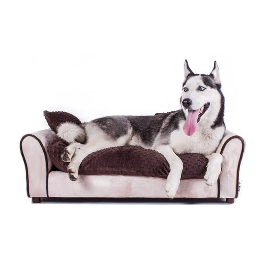 DOCHI-Pet Sofa Bed Deluxe